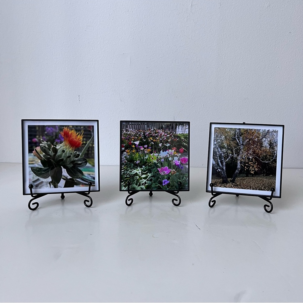 Original Nature Floral Landscape Tree Framed Photographs 4 x 4